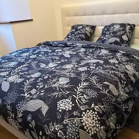 Апартаменты L' Renaissance *